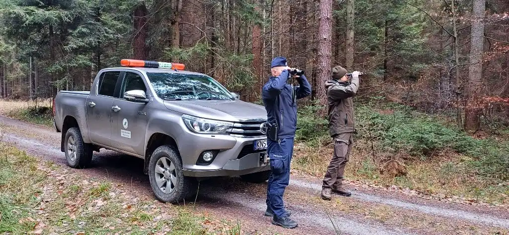 Świąteczne patrole. Policja i straż leśna chronią lasy przed nielegalnym pozyskiwaniem choinek