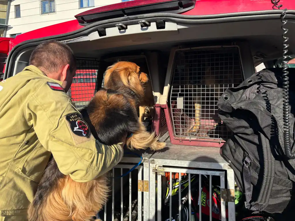Ćwiczenia ratownicze USAR POLAND w Nowym Sączu. 36 godzin intensywnego treningu i współpracy