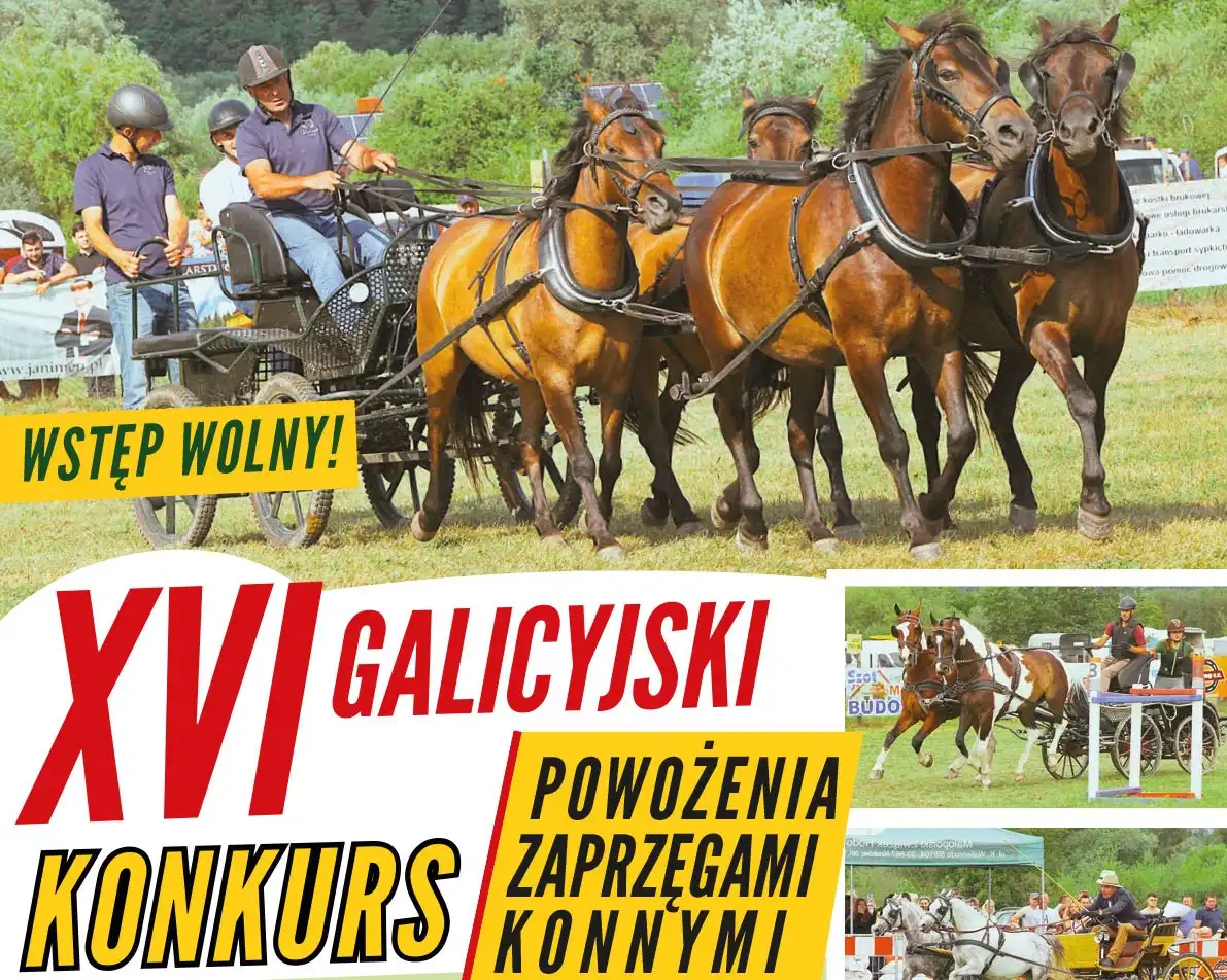 Ujanowice zaprzęgają konie i tradycję! XVI Galicyjski Konkurs Powożenia już 27 lipca