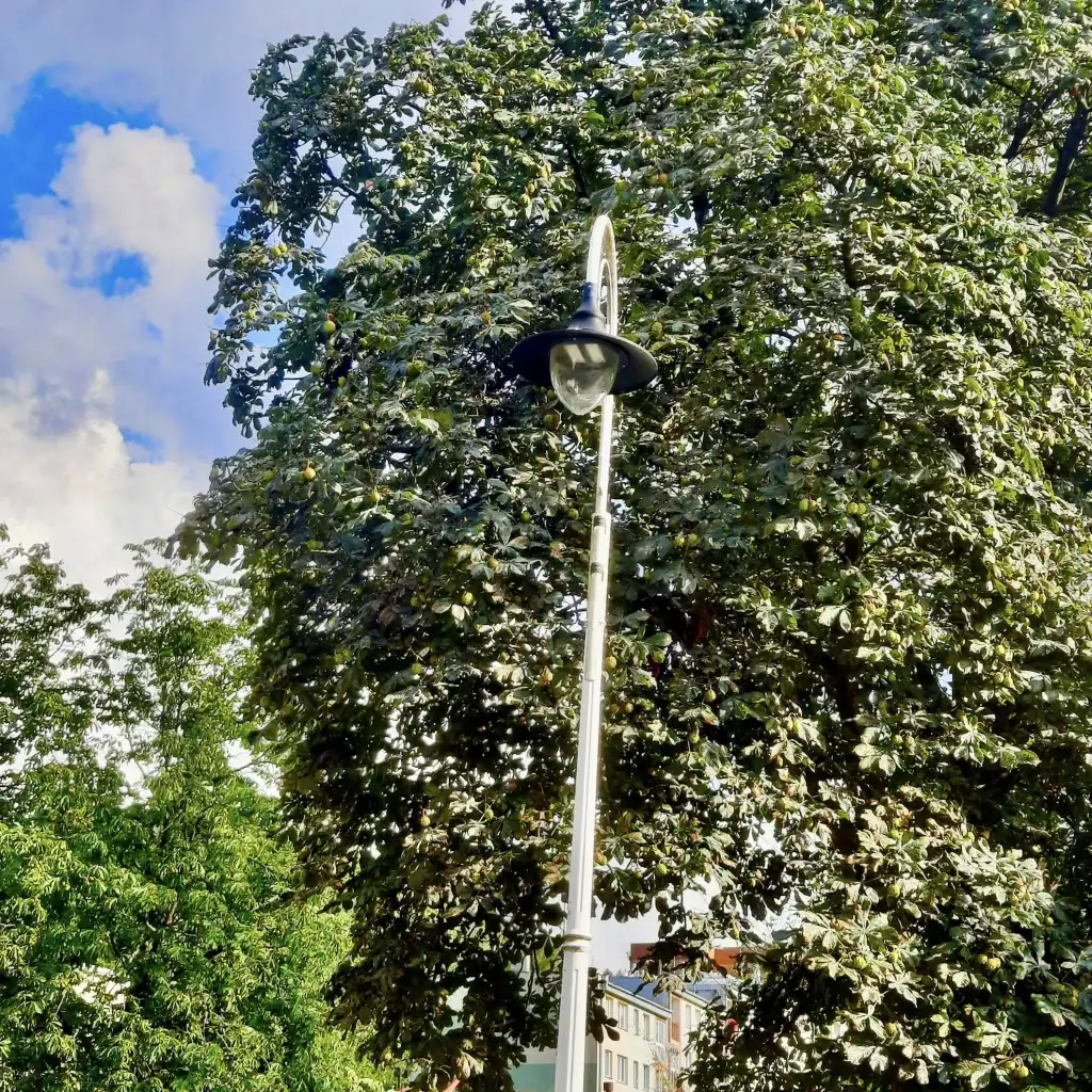Świecą mocniej, kosztują mniej. Nowe lampy w gminie Krynica-Zdrój