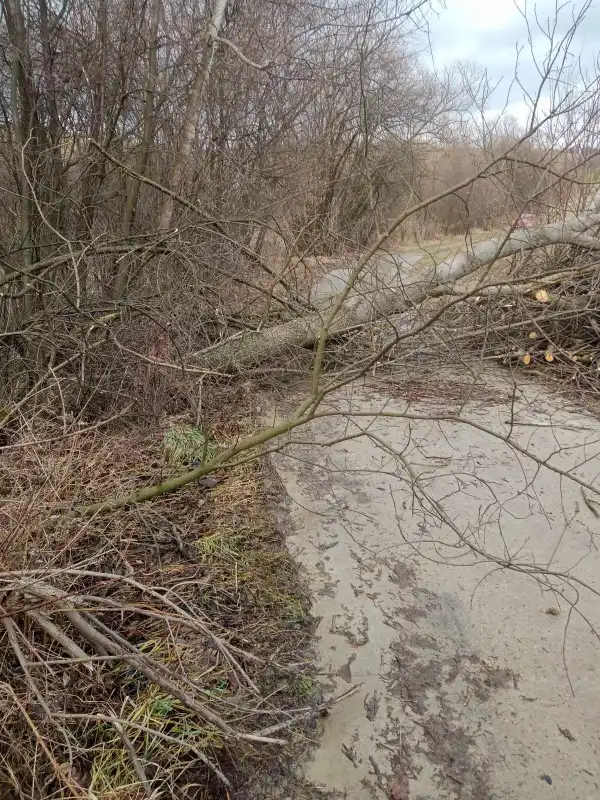 Sądecczyzna: Wietrzny początek tygodnia. Interweniowali strażacy
