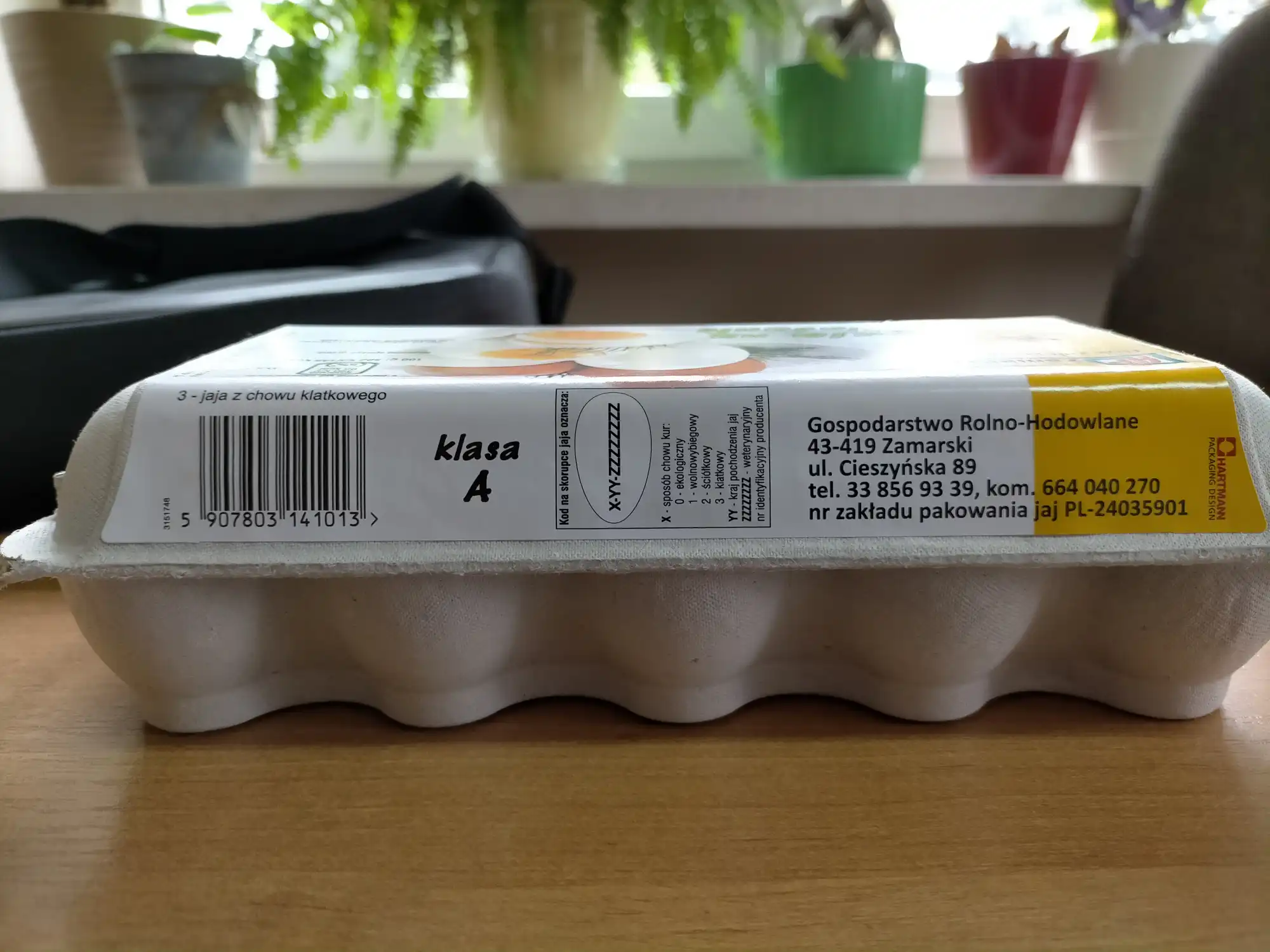 GIS ostrzega przed salmonellą na powierzchni skorupek jaj