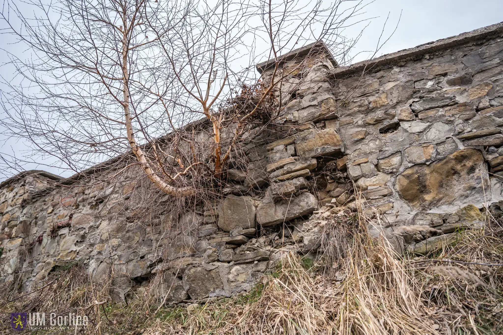 Zabytkowy mur z 1793 roku odzyska pierwotny wygląd