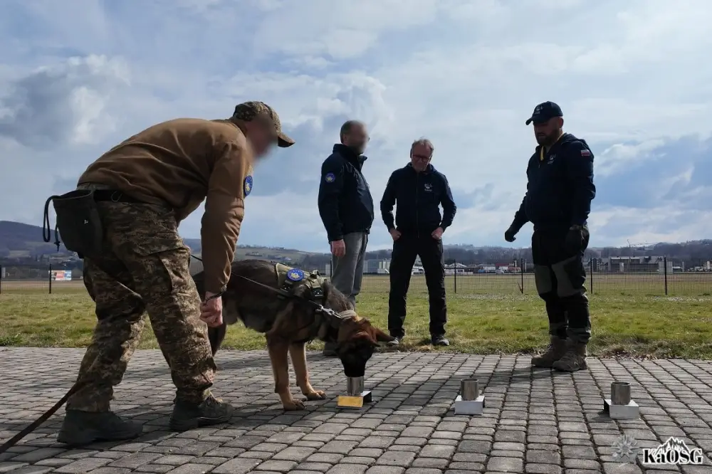 Z Tęgoborzy na Ukrainę. Wyszkolone psy ruszają do służby