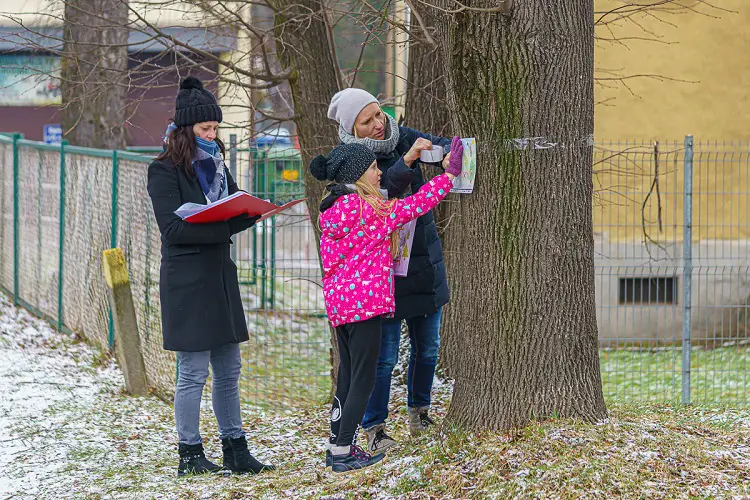 Mieszkańcy osiedla Nawojowska walczą o park. Nie chcą wycinki ponad stu drzew