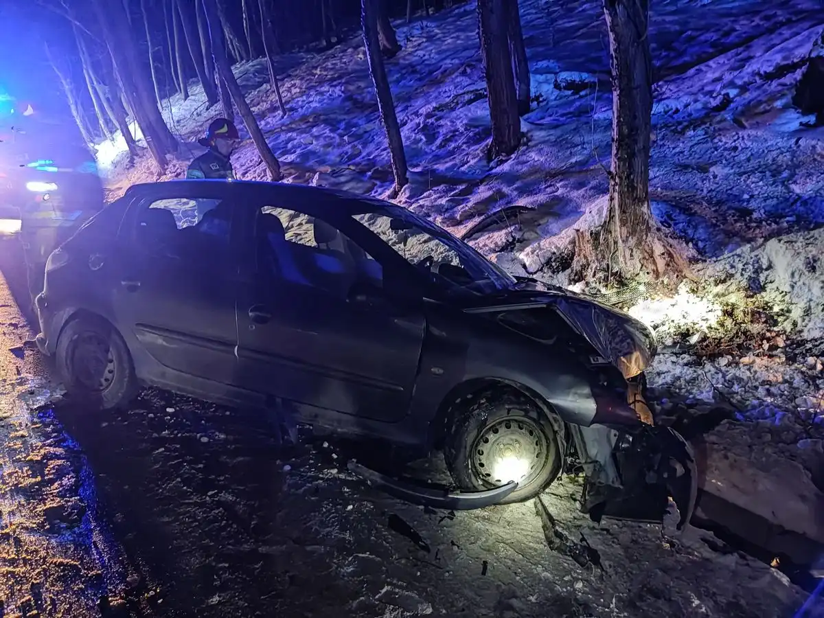 Wypadek w Jelnej. Pojazd osobowy wypadł z drogi. 2 osoby poszkodowane