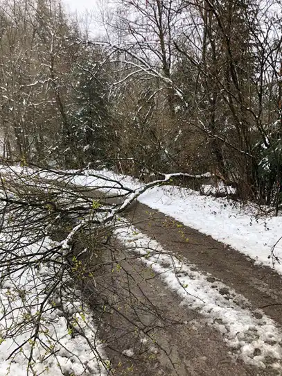 14 kwietnia strażacy usuwali skutki zimy na Sądecczyźnie. Interweniowali 70 razy
