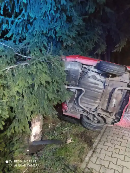 W Piątkowej osobówka wypadła z drogi i uderzyła w ogrodzenie