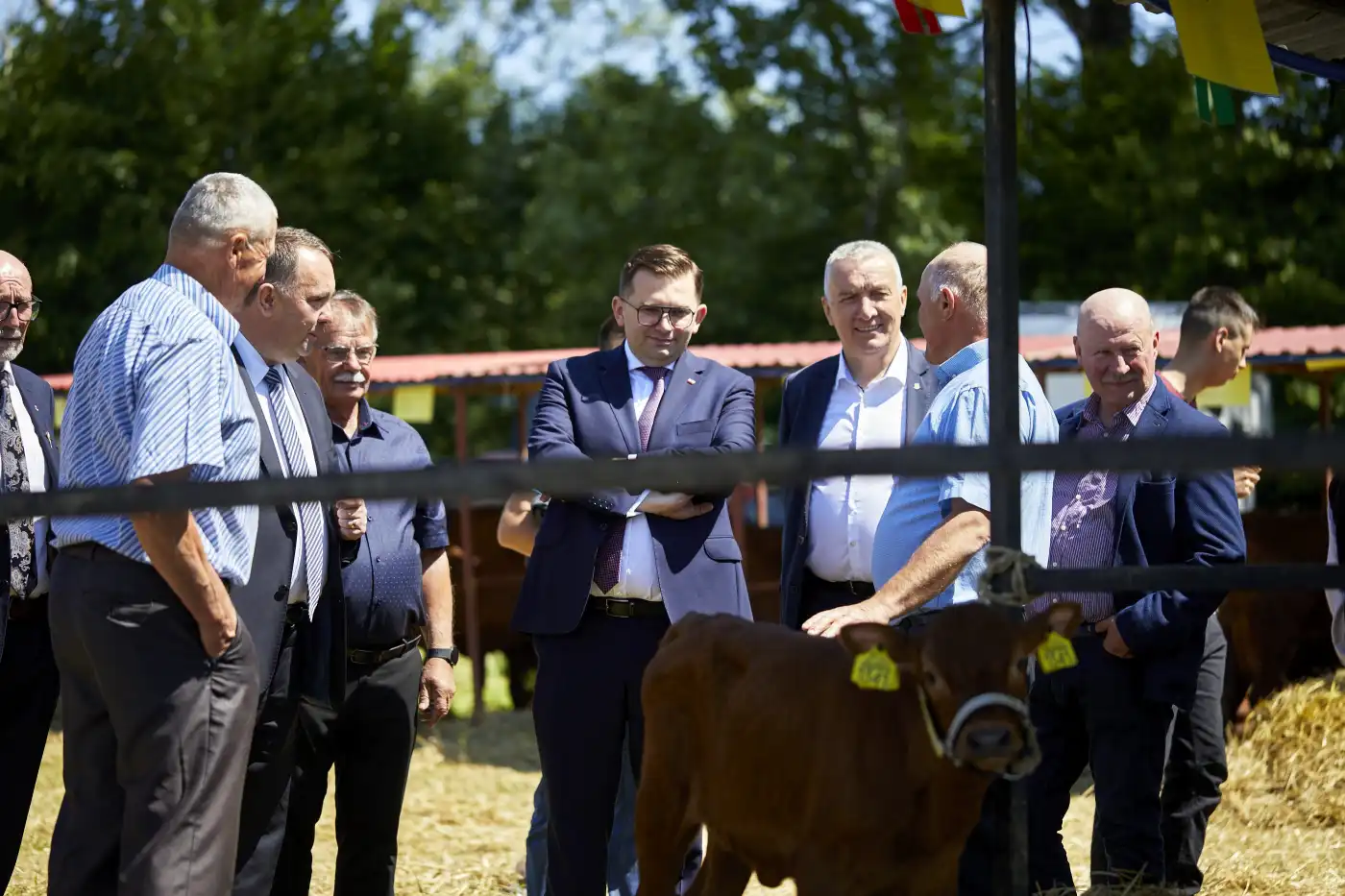 XV Krajowa Wystawa Czerwonego Bydła Polskiego w Szczyrzycu