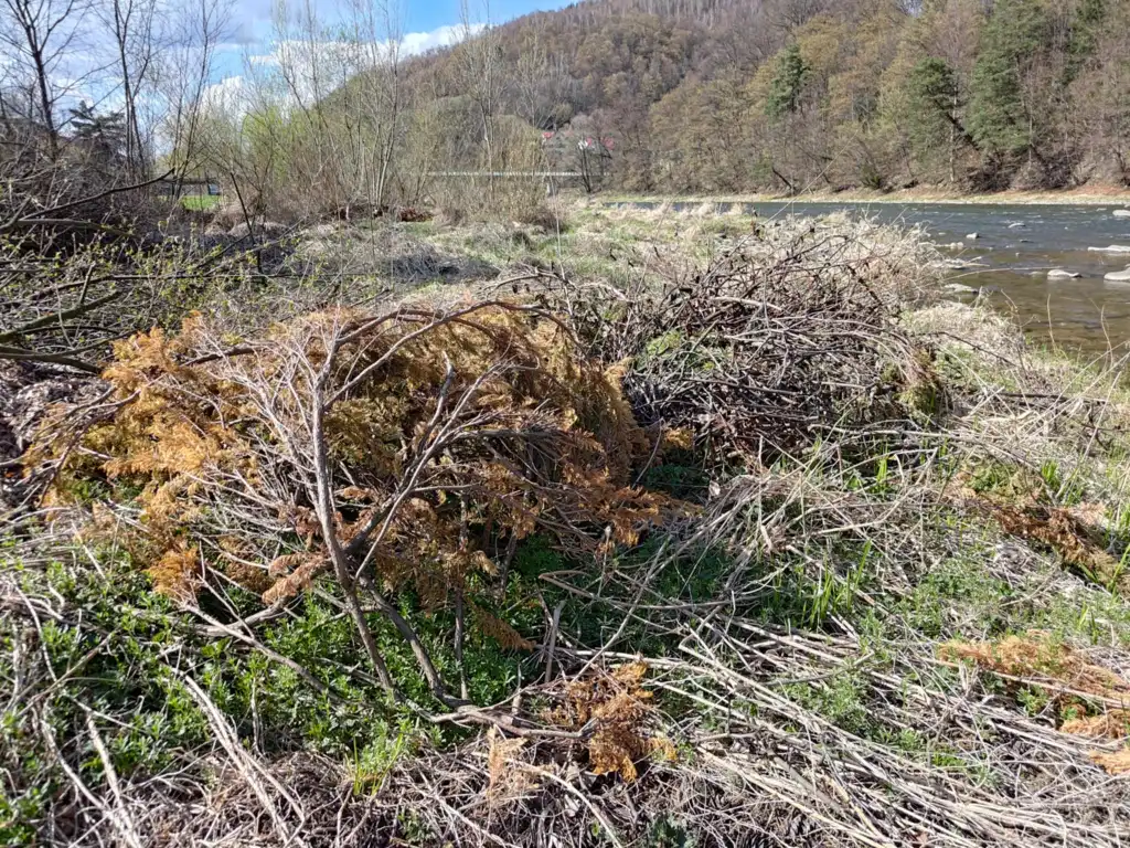 Nie wyrzucaj śmieci nad Poprad! Gmina Rytro apeluje do mieszkańców