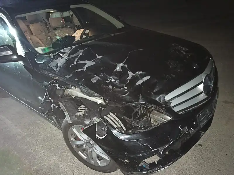 w Podegrodziu osobówka zderzyła się z jeleniem