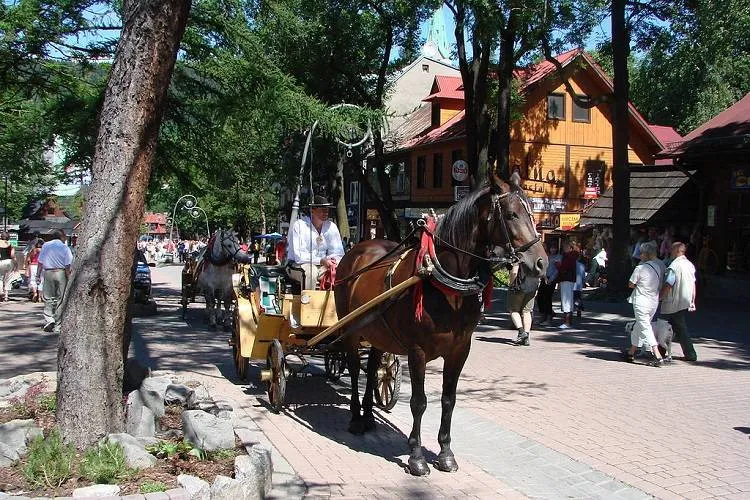 Zakopane sowicie nagrodzone za Park Kulturowy na Krupówkach