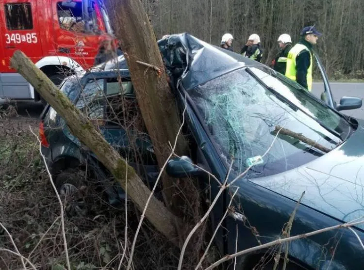 Zjechała z drogi i uderzyła w drzewo