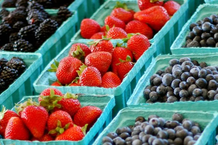 Nabór wniosków o dofinansowanie na małe przetwórstwo do 1 marca