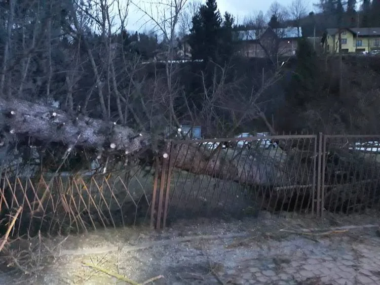 Nocne wichury nad Polską. Strażacy mają ręce pełne roboty