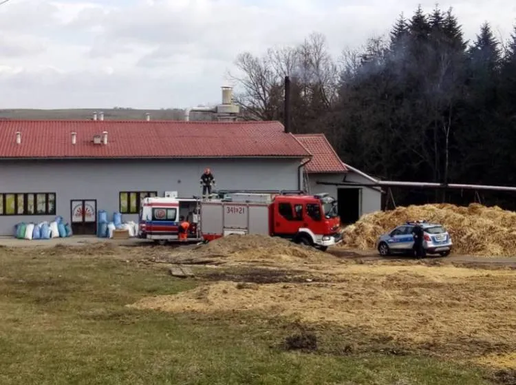 W zakładzie produkcyjnym znaleziono zwłoki