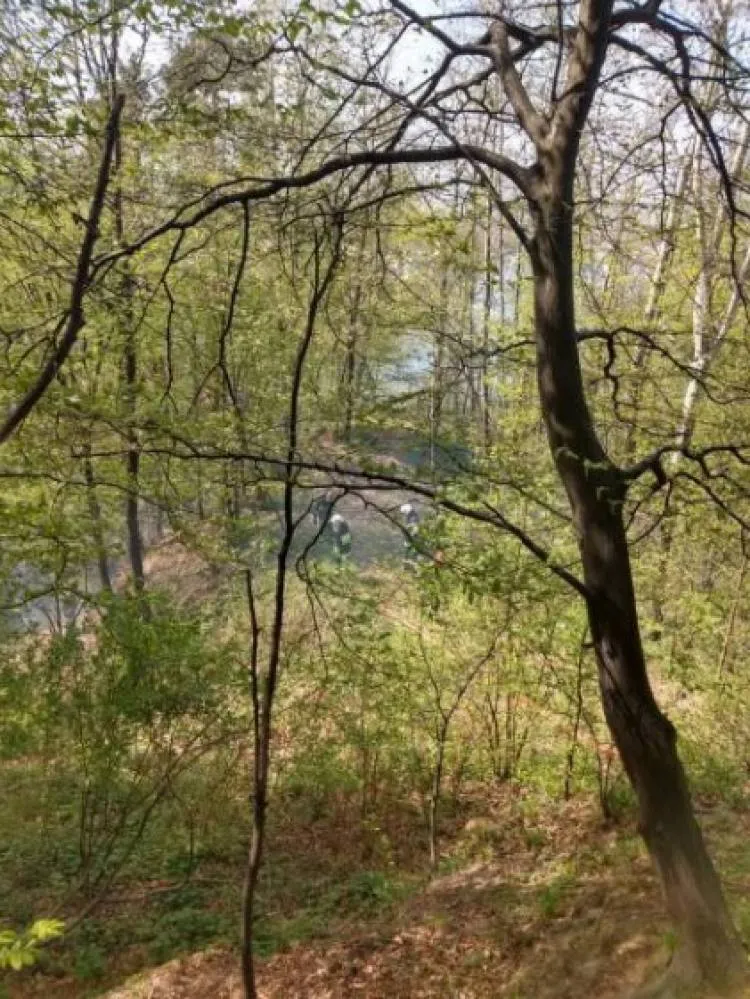 Pożar lasu na ul. Jamnickiej w Nowym Sączu