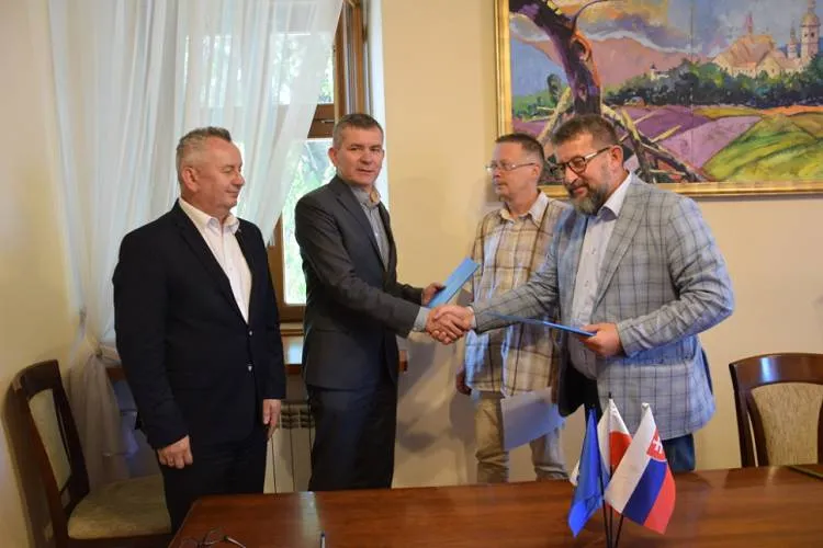 Na Miejskiej Górze powstanie ścieżka spacerowa w koronach drzew