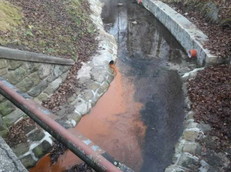 Dziwna substancja w potoku Palenica
