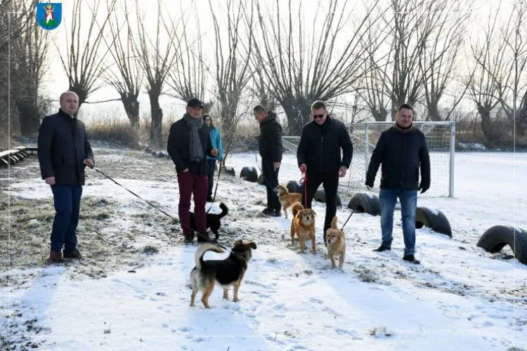 Nie będzie fajerwerków w Sylwestra