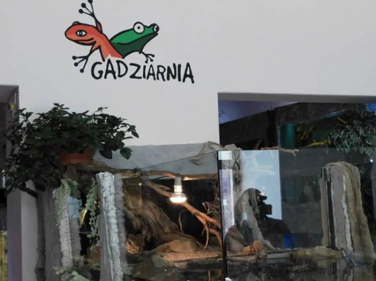 W Nowym Sączu odwiedzisz Terrarium