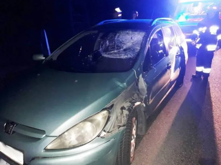 Stary Sącz. Auto zderzyło się z jeleniem