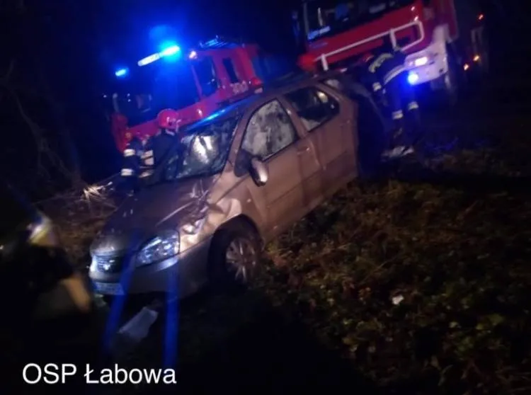 wypadek kotów