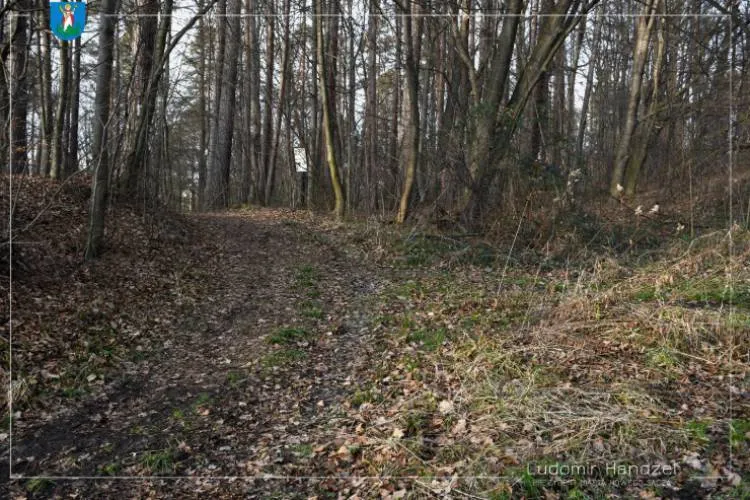 W Nowym Sączu powstanie nowe miejsce dla spacerowiczów