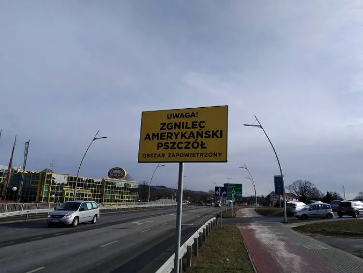 Nowy Sącz - obszar zapowietrzony. O co chodzi?