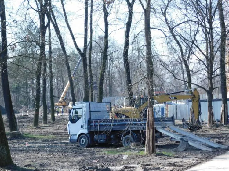 Park Strzelecki Nowy Sącz