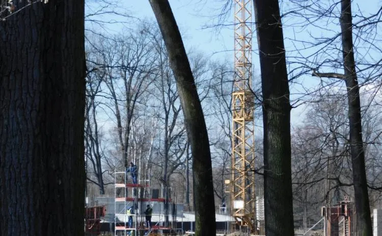 Park Strzelecki Nowy Sącz