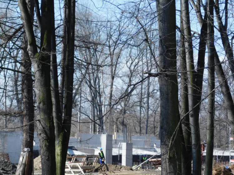 Park Strzelecki Nowy Sącz