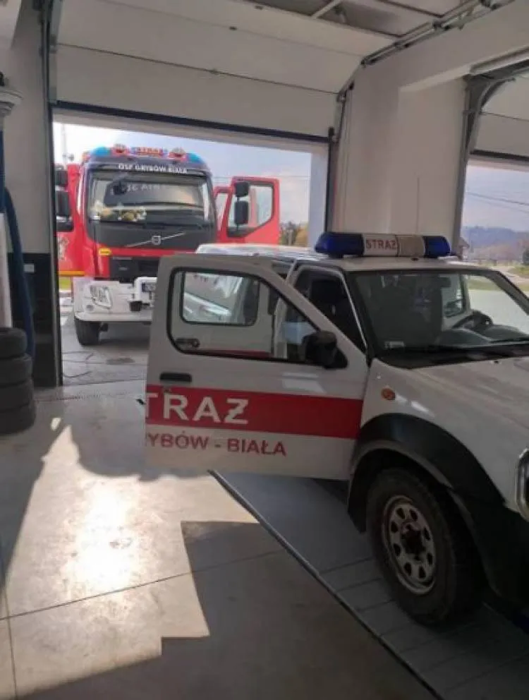 dezynfekcja pojazdów Stróże