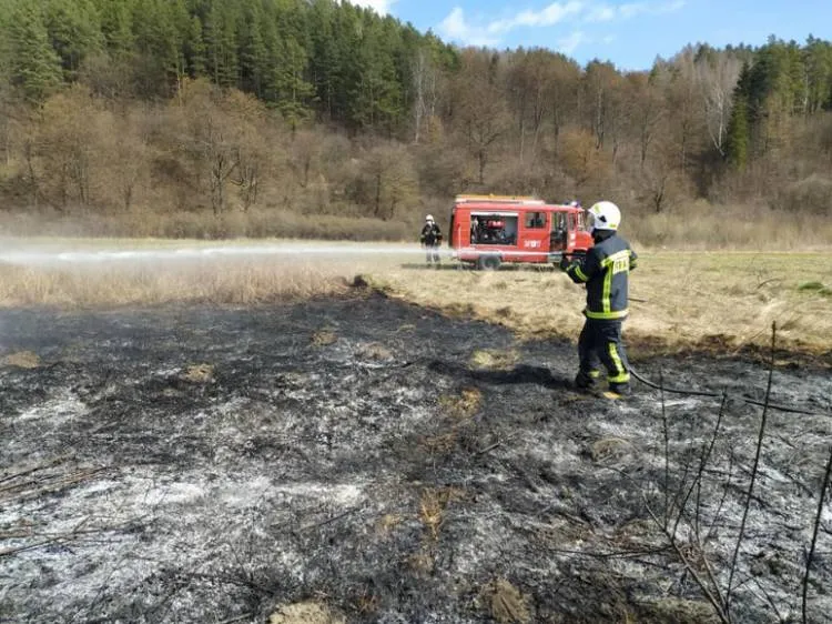 pożar traw Maszkowice