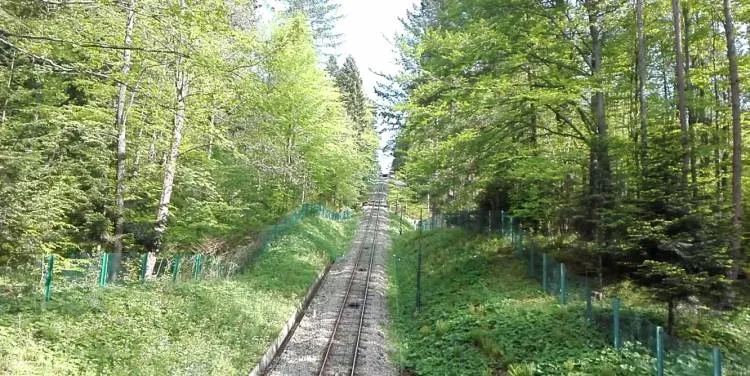 Krynica-Zdrój. Na Górze Parkowej powstanie Ogród Żywiołów