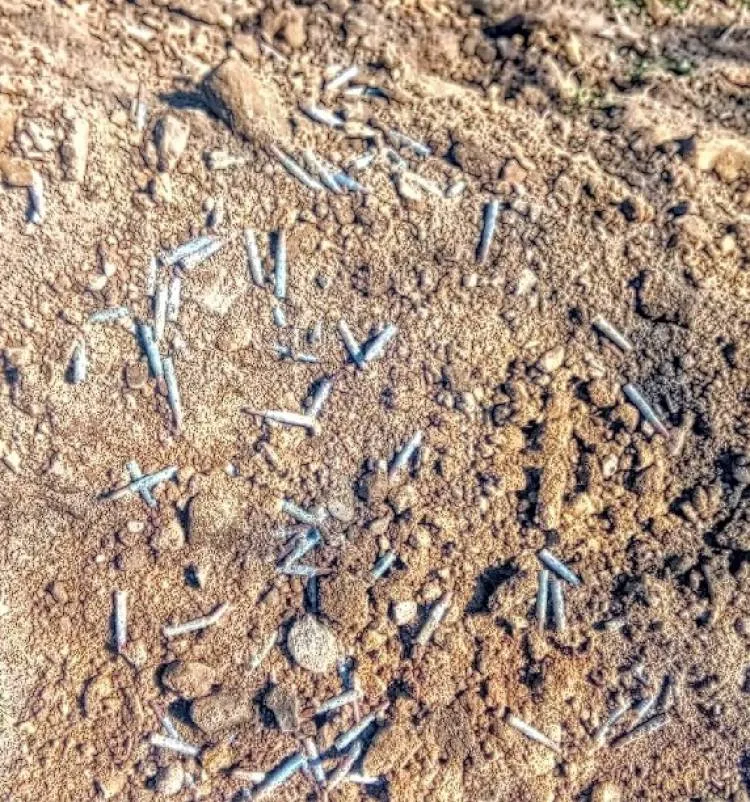 Limanowa. Podczas prac ziemnych znaleziono pociski karabinowe