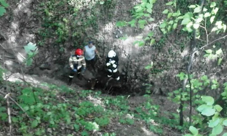Strażacy ruszyli z pomocą uwięzionej krowie