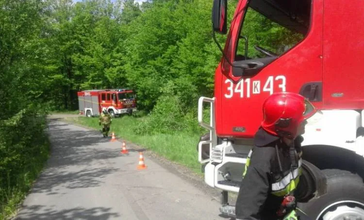 Strażacy ruszyli z pomocą uwięzionej krowie Lipie