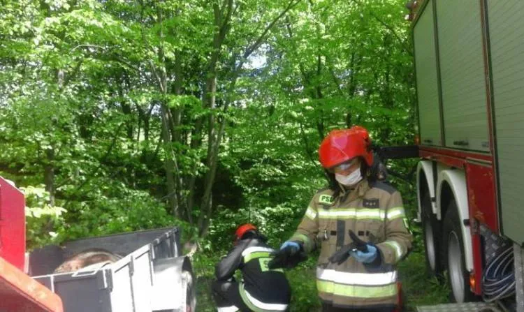 Strażacy ruszyli z pomocą uwięzionej krowie Lipie