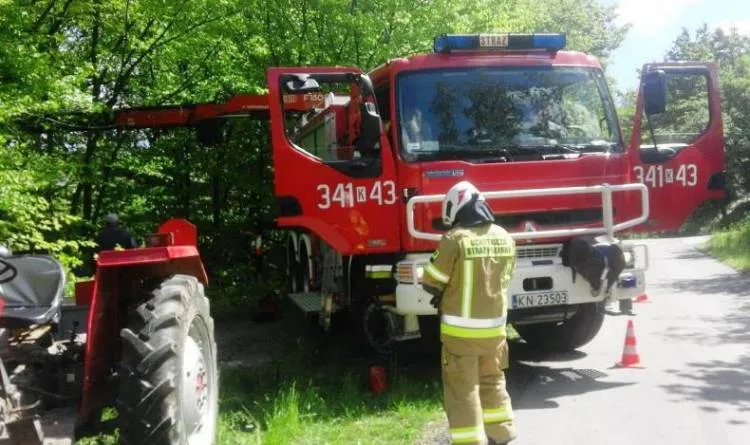 Strażacy ruszyli z pomocą uwięzionej krowie Lipie