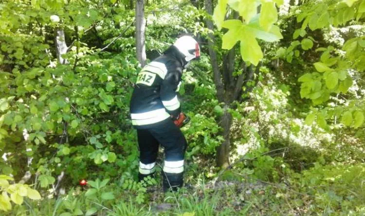 Strażacy ruszyli z pomocą uwięzionej krowie Lipie
