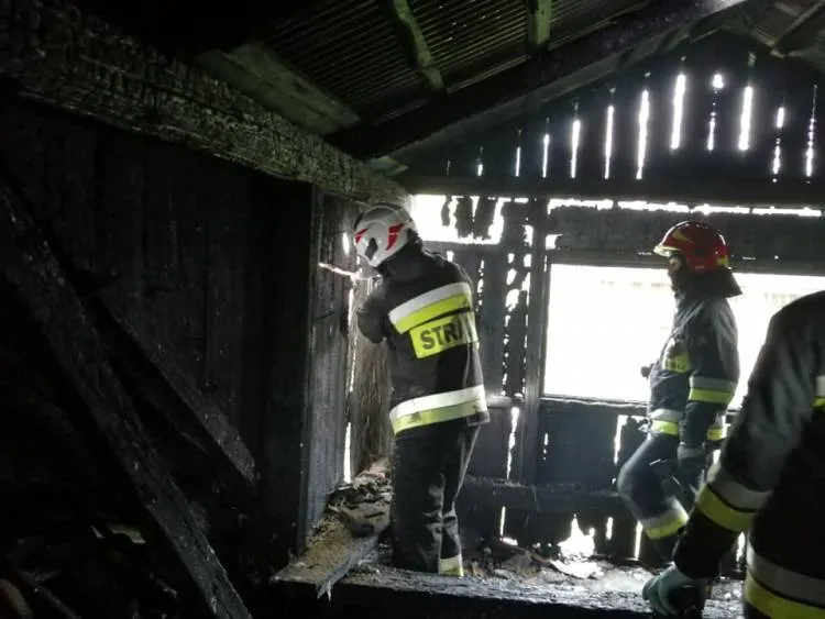 Pożar budynku mieszkalnego w Kamienicy