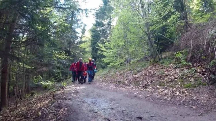 wypadek w Gorcach, turystka wbiła gałąź w nogę