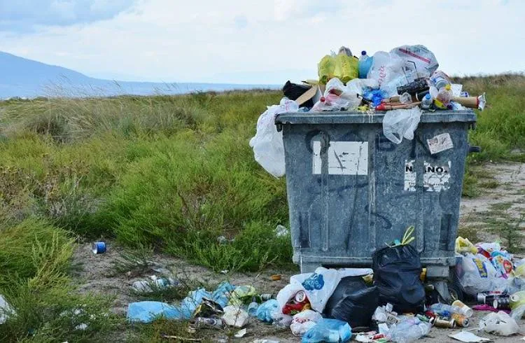 Piwniczna-Zdrój. Rośnie liczba dzikich wysypisk śmieci. Burmistrz apeluje do mieszkańców