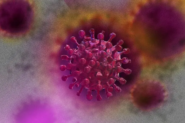 Najnowsze dane dotyczące koronawirusa (SARS-CoV-2) - 27 grudnia