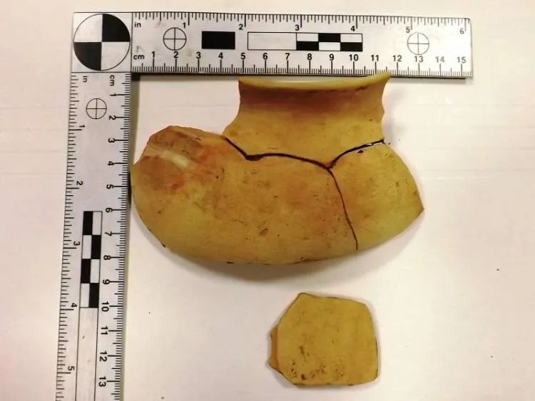 Chciał przemycić zabytki archeologiczne. Przeszkodziła mu Lubelska KAS i SG 