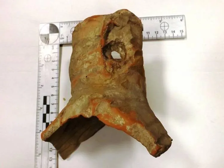 Chciał przemycić zabytki archeologiczne. Przeszkodziła mu Lubelska KAS i SG 