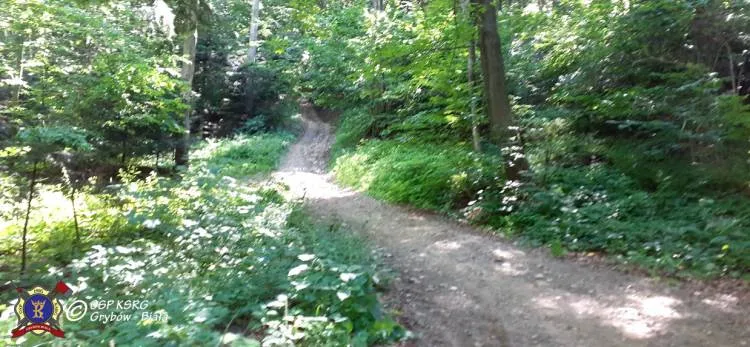 Góra Chełm. Paralotniarz spadł na drzewo