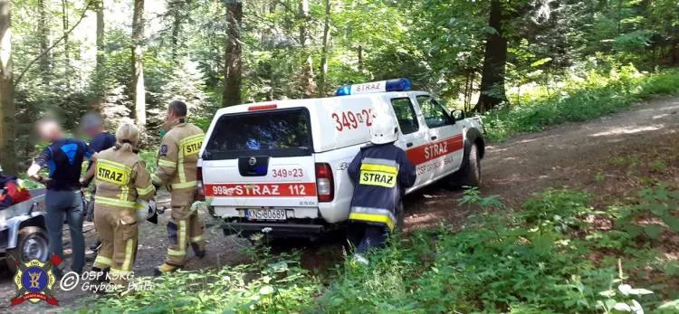 Góra Chełm. Paralotniarz spadł na drzewo