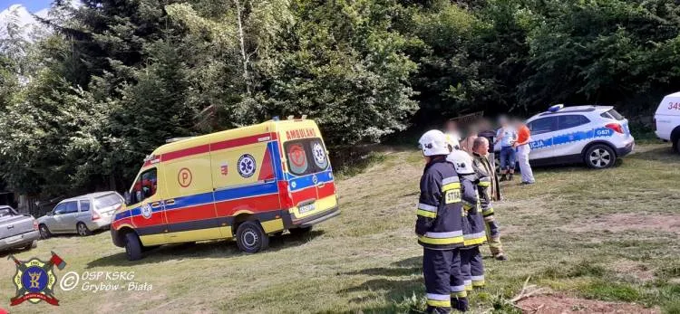 Góra Chełm. Paralotniarz spadł na drzewo